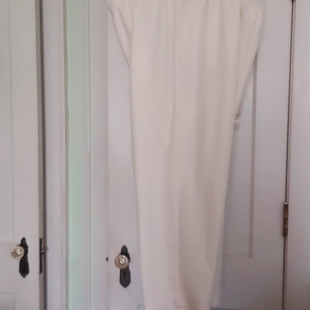 Women's Alfred Dunner 22W Pants